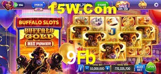 Bonus Features 9Fb